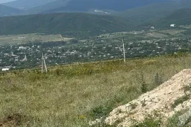 Продается Земля, Шанкевани