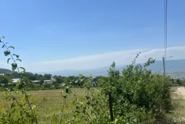 Продается Земля, Шанкевани