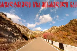 Продается Земля, Сельскохозяйственные, Dzegvi