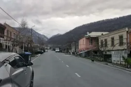 იყიდება სახლი, 3 ოთახიანი, ლაგოდეხი, ლაგოდეხი