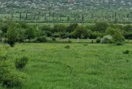 იყიდება მიწის ნაკვეთი, ოკამი 