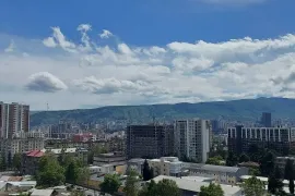 Продается квартира, 4 Kомнатная, Новостройка, Тбилиси, Надзаладеви