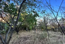 Land For Sale, Agricultural, Okrokana