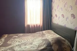 იყიდება სახლი, 5 ოთახიანი, თბილისი, ლოტკინი