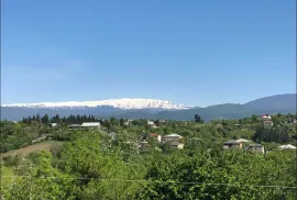 იყიდება მიწის ნაკვეთი, არა სასოფლო - სამეურნეო, წყალტუბო