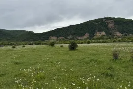 Продается Земля, Сельскохозяйственные, Bulachauri