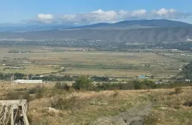 იყიდება მიწის ნაკვეთი, სასოფლო - სამეურნეო, წეროვანი