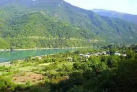 Land For Sale, Agricultural, Tvalivi