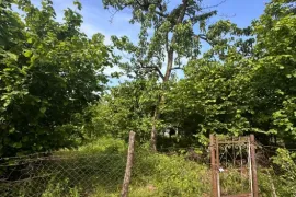 იყიდება მიწის ნაკვეთი, საინვესტიციო, ვაკიჯვარი