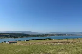 იყიდება მიწის ნაკვეთი, სასოფლო - სამეურნეო