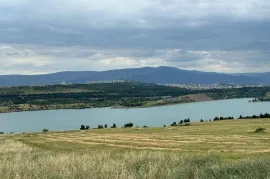 იყიდება მიწის ნაკვეთი, სასოფლო - სამეურნეო
