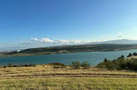 იყიდება მიწის ნაკვეთი, სასოფლო - სამეურნეო