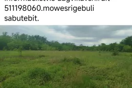 Land For Sale, Agricultural, Saghoria