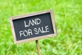 Land For Sale, Agricultural