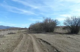 Land For Sale, For Investment, Dusheti