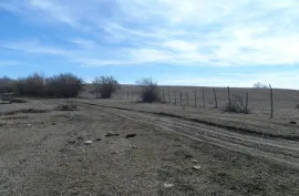 Land For Sale, For Investment, Dusheti