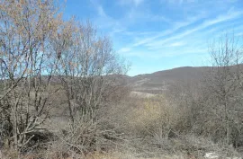 Land For Sale, For Investment, Dusheti