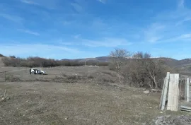 Land For Sale, For Investment, Dusheti