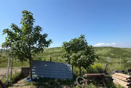 იყიდება სახლი, 4 ოთახიანი, თბილისი, გლდანი