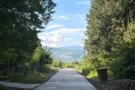 იყიდება სახლი, 14 ოთახიანი, თერჯოლა, რუფოთი