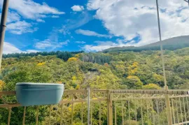 House For Sale, 10 Room, Suburbs of Tbilisi, Tskneti