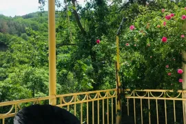 House For Sale, 10 Room, Suburbs of Tbilisi, Tskneti