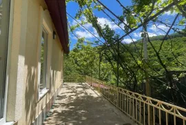 House For Sale, 10 Room, Suburbs of Tbilisi, Tskneti