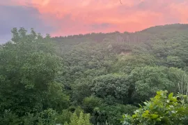 House For Sale, 10 Room, Suburbs of Tbilisi, Tskneti