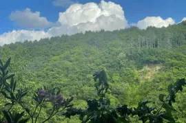 House For Sale, 10 Room, Suburbs of Tbilisi, Tskneti