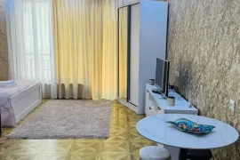 Daily Apartment Rent, 1 Room, New building, Kutaisi, Mefesutubani