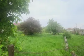 Продается Земля, Не Сельскохозяйственный, Горовани