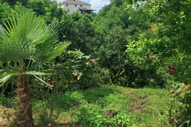 House For Sale, 4 Room, Ozurgeti 
