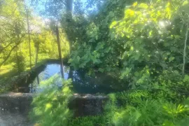 იყიდება სახლი, 5 ოთახიანი, ზუგდიდი, ზუგდიდი