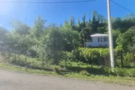 იყიდება სახლი, 5 ოთახიანი, ზუგდიდი, ზუგდიდი