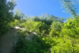 იყიდება სახლი, 5 ოთახიანი, ზუგდიდი, ზუგდიდი