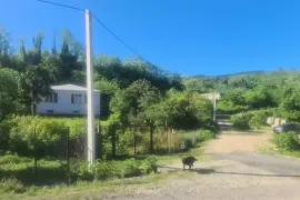 იყიდება სახლი, 5 ოთახიანი, ზუგდიდი, ზუგდიდი