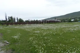 იყიდება მიწის ნაკვეთი, კომერციული, ნატახტარი