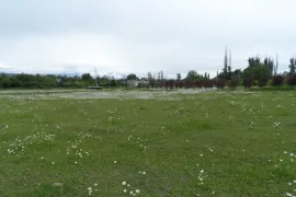 იყიდება მიწის ნაკვეთი, კომერციული, ნატახტარი