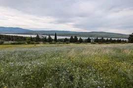იყიდება მიწის ნაკვეთი, თბილისის ზღვა