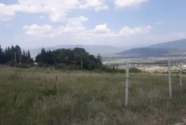 იყიდება მიწის ნაკვეთი, სასოფლო - სამეურნეო, შანკევანი