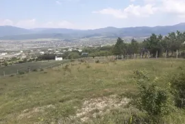 იყიდება მიწის ნაკვეთი, სასოფლო - სამეურნეო, შანკევანი