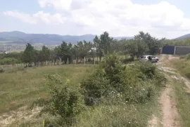 იყიდება მიწის ნაკვეთი, სასოფლო - სამეურნეო, შანკევანი