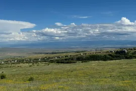 იყიდება მიწის ნაკვეთი, საინვესტიციო, მთაწმინდა