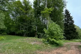 Land For Sale, Agricultural