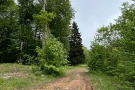 Land For Sale, Agricultural