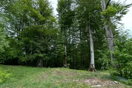 Land For Sale, Agricultural