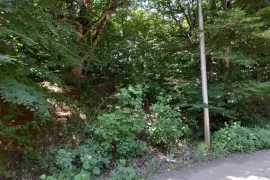 Land For Sale, Non Agricultural, Betania