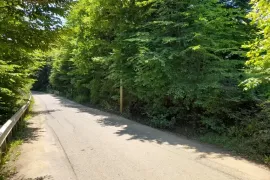 Land For Sale, Non Agricultural, Betania