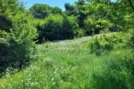 Land For Sale, Non Agricultural, Betania