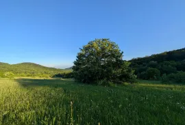 Land For Sale, Agricultural, Orbeti 